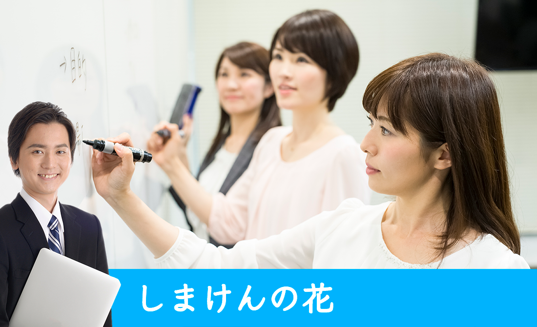 しまけんの花　メイン画像